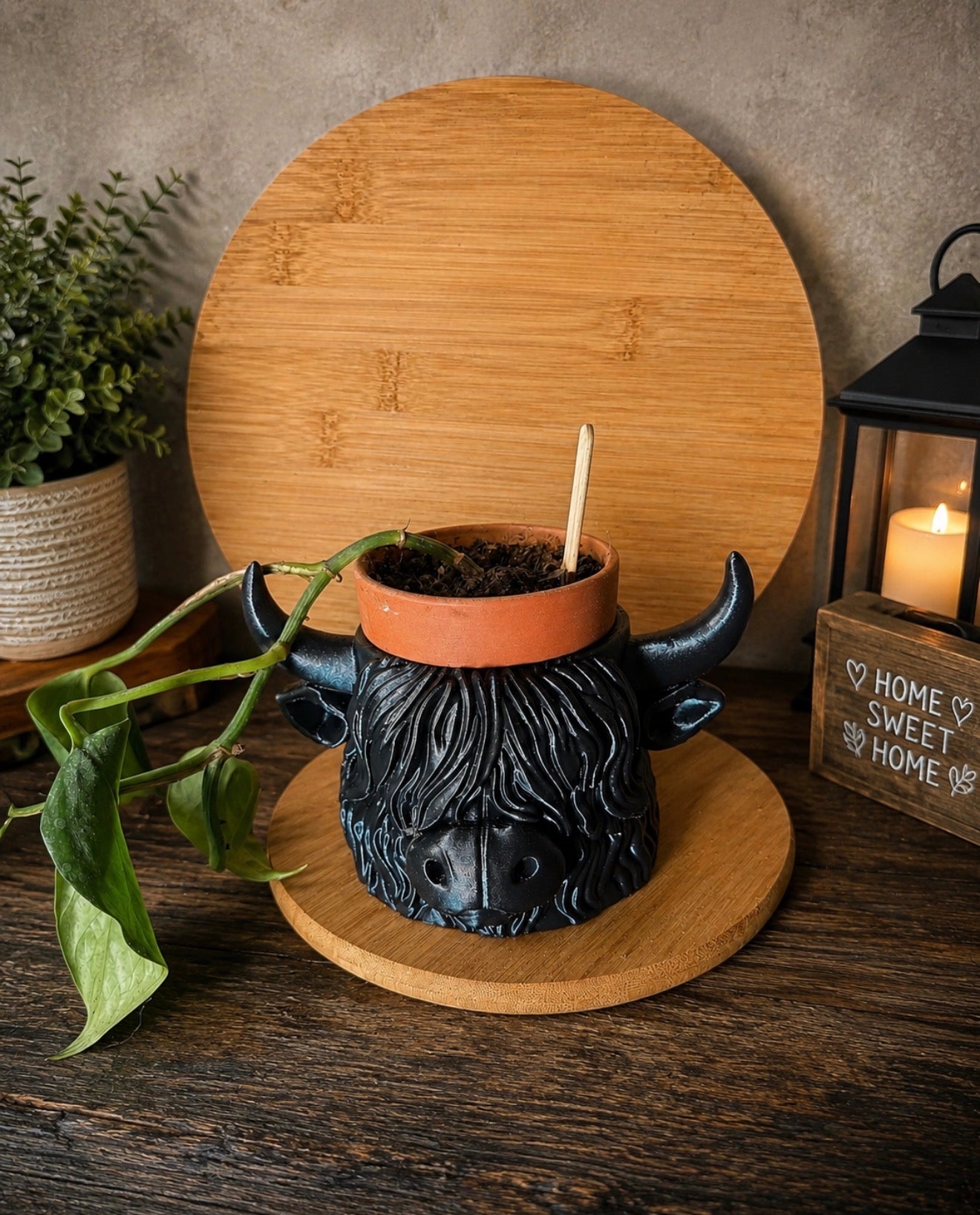 Highlander Cow Planter